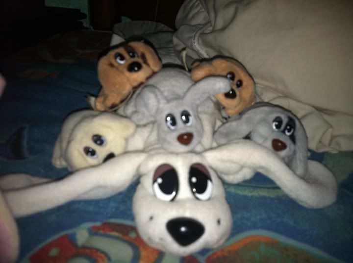 Pound Puppies Pictures, Images & Photos Photobucket